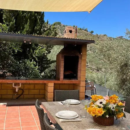Paloma 4*